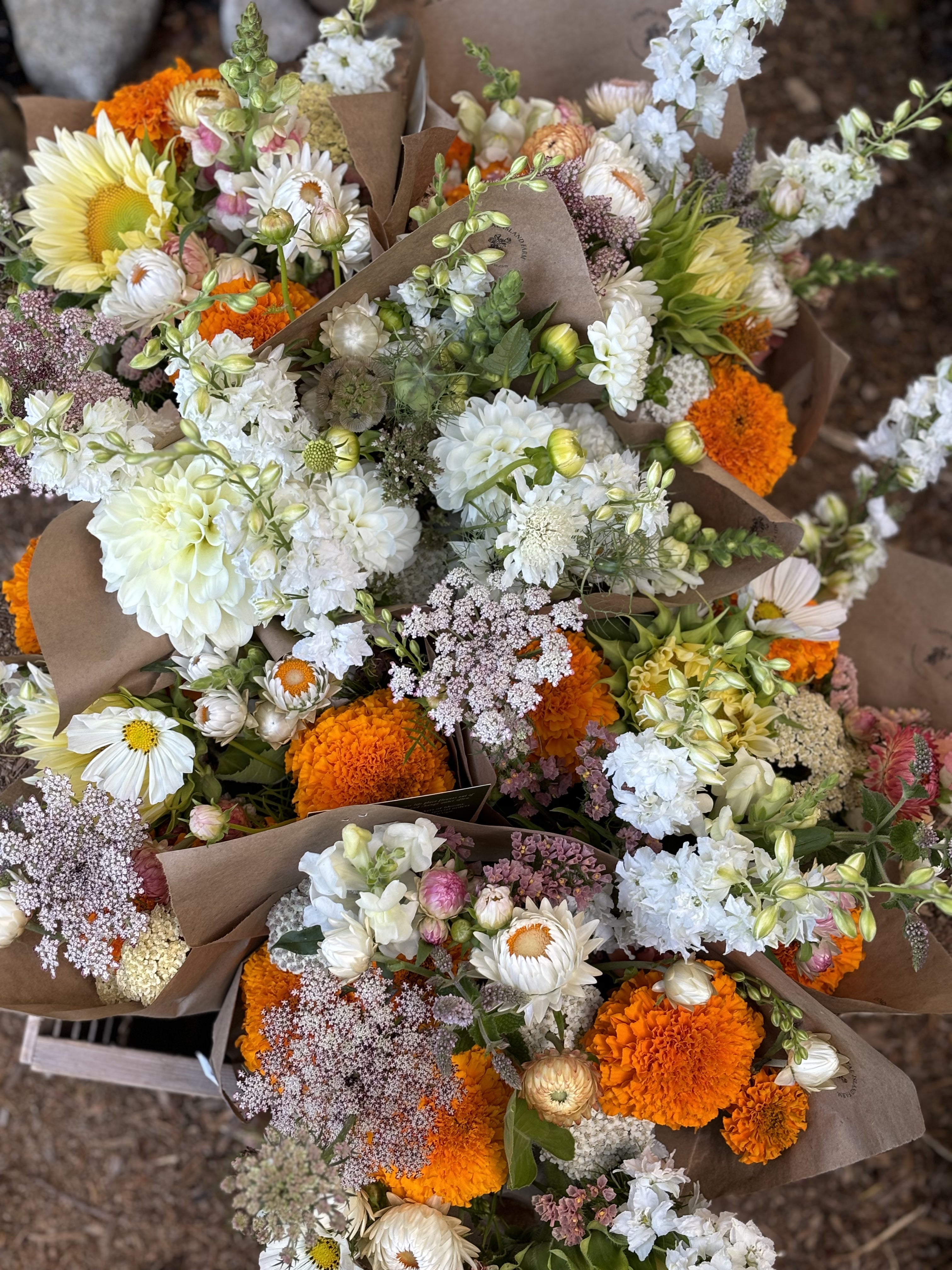 2025 Summer Bouquet Subscription